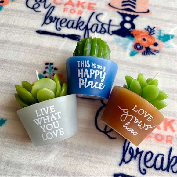 🌵 Cactus Succulent Decorative Candles 🌵 - Picture 2 of 7